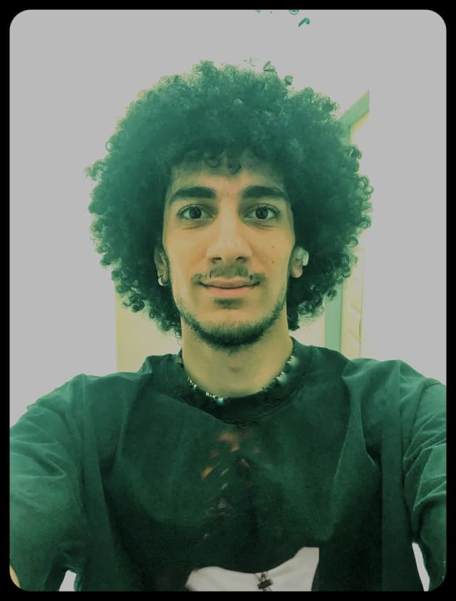 امیرحسین سلمانی